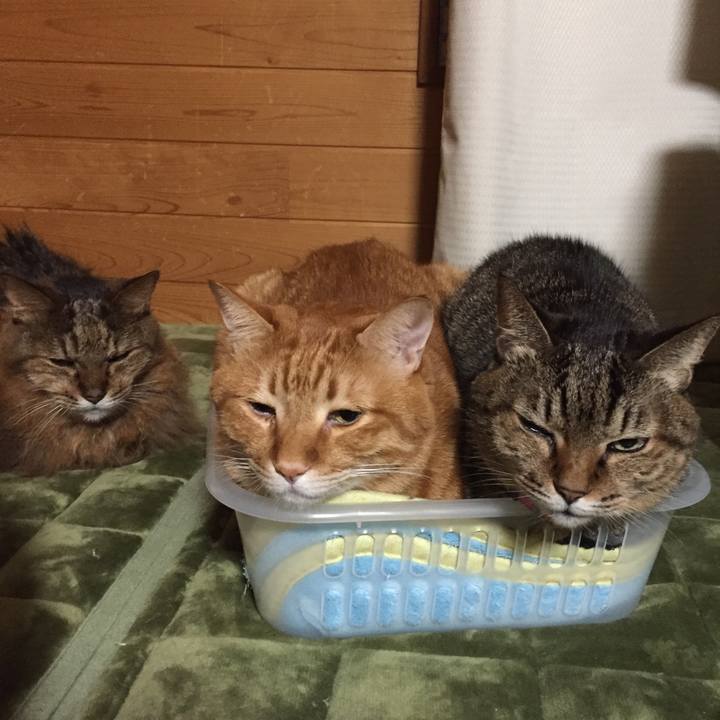 286a5fa1 015f 4e57 ae86 7afe5170bf3b