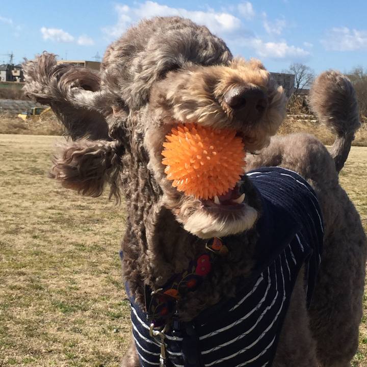 286ad395 4c57 4922 9f94 1d0140824d3f