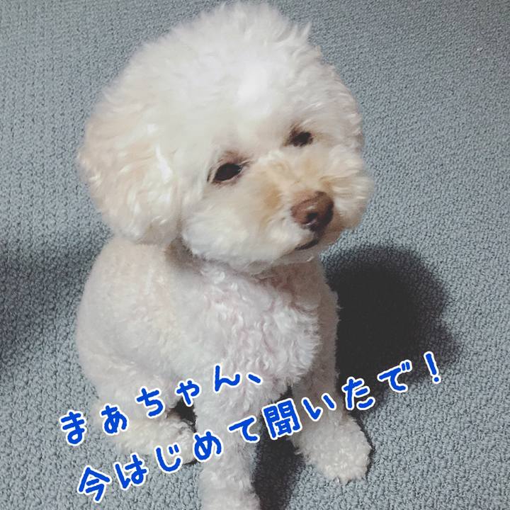 286b4a5c 062f 4065 ad15 494a73059458