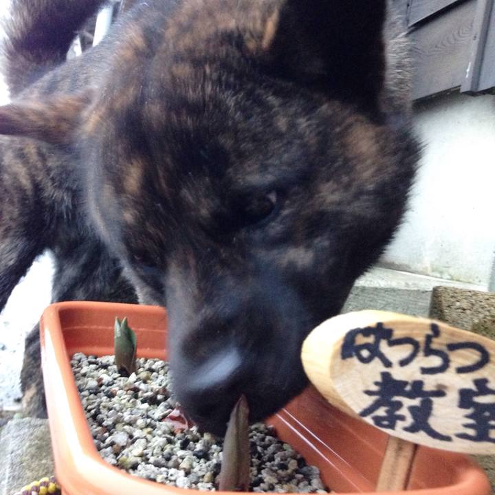 286b7f2b 12b0 43d7 a19d 466211ce54ae