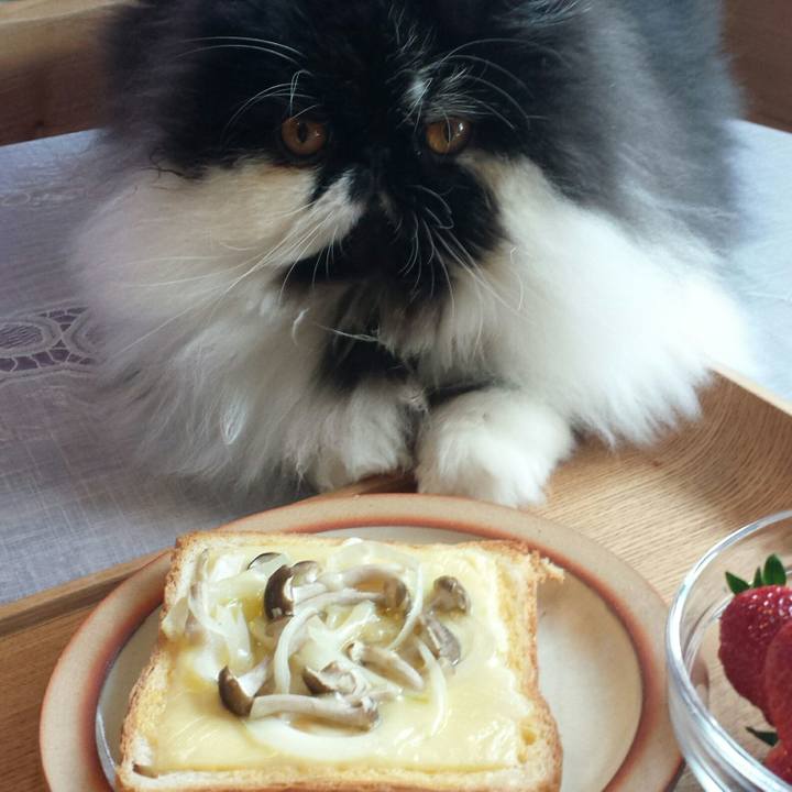 286b82f2 ccf1 4990 a846 7e9f529dc971