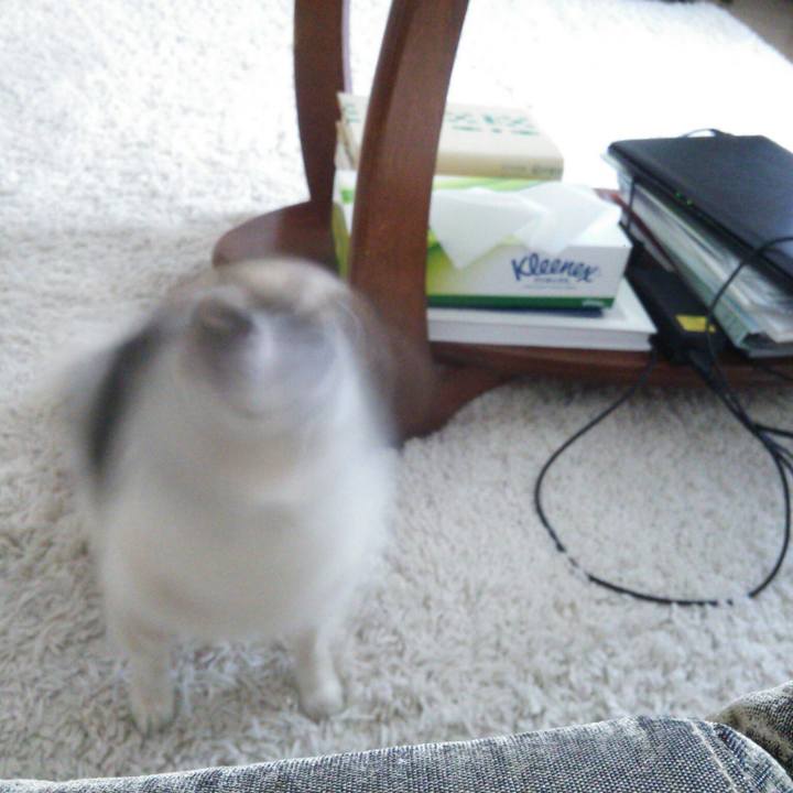 286bae0a 0097 4f9c 8320 cd18be65c2c4