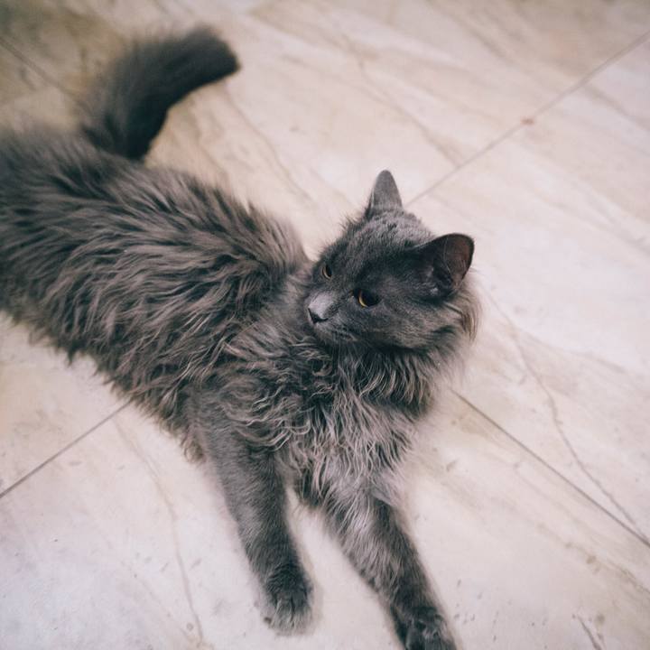 286bd354 0e35 4890 b609 b2d6de68b835