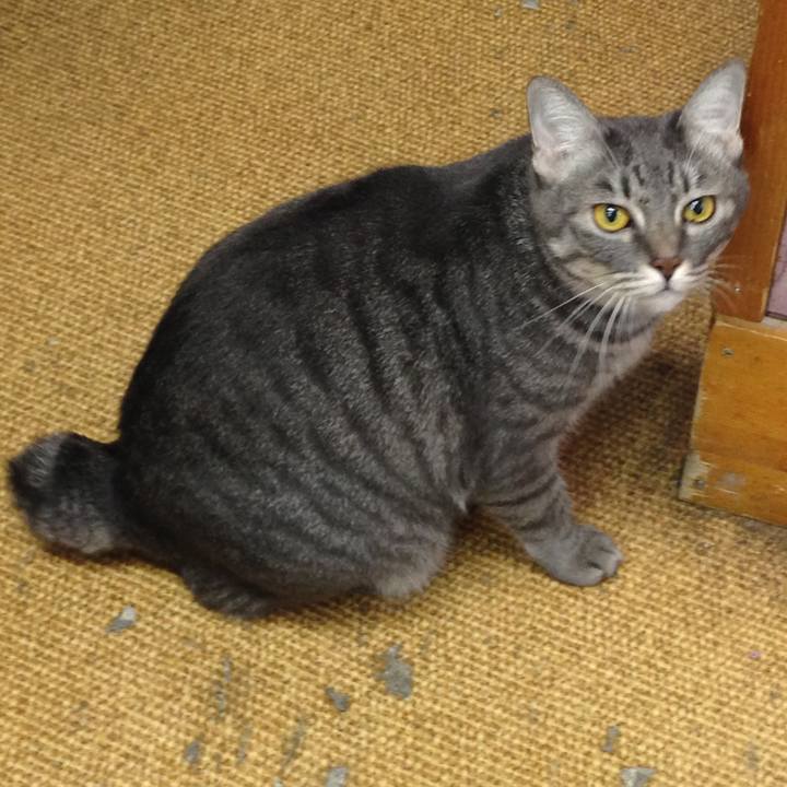 286beeb3 d076 417a b2f9 e0b14b9dd723