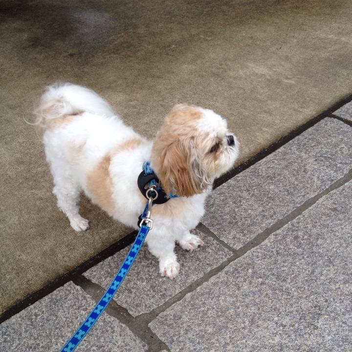 286c501e 6dc0 4416 87f0 3c0d8ffcfb00