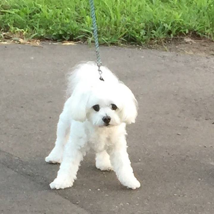 286c8918 d9df 489f 988e 2dbd6ce7bc74