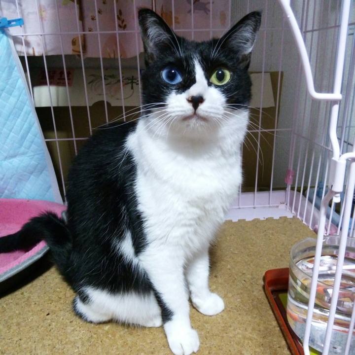 286cb2e6 2bd8 40a1 b8ff fc5a6a7f6b6e