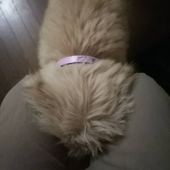 286cf6a5 019e 452a bcab 49d99eab9645