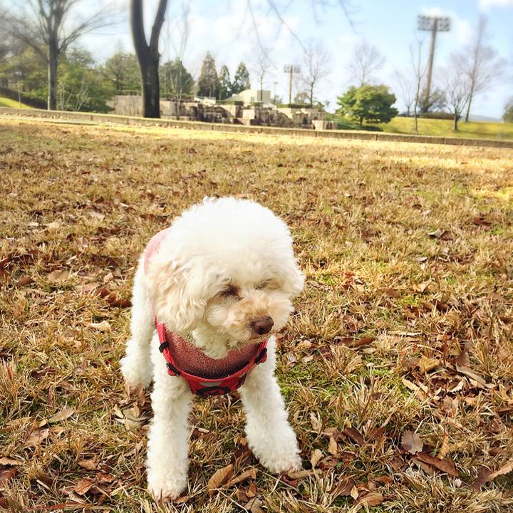 286d9464 8072 4694 951d 33b41c1973e9