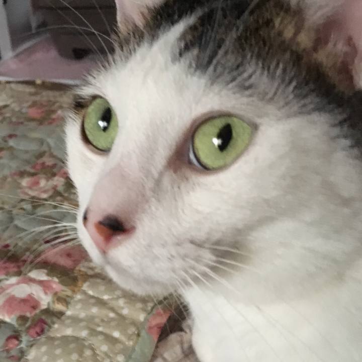 286de7e4 c10b 4a04 9c2a 5baa96ec9ebd