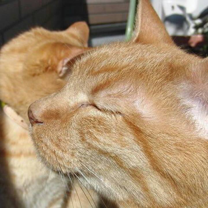 286e4068 2957 4144 b297 52c70fc78123