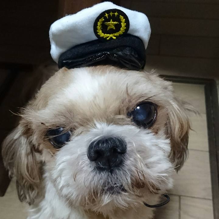 286e4b7c 4991 474b ba32 de8552b3d2fd