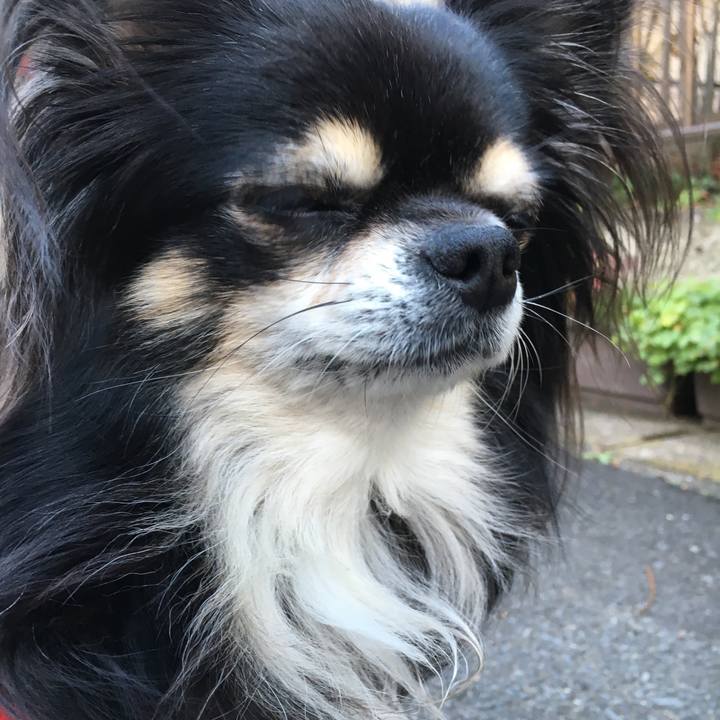 286e5cc4 1332 4dd8 afd0 55921c96e6b2