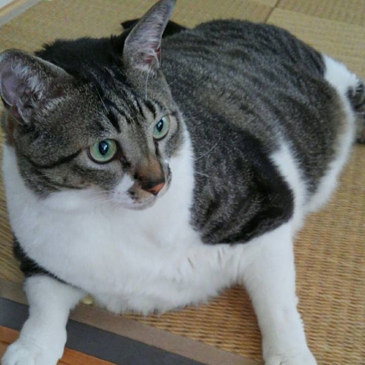 286e6c40 e568 4cc3 ac56 20e383eee173