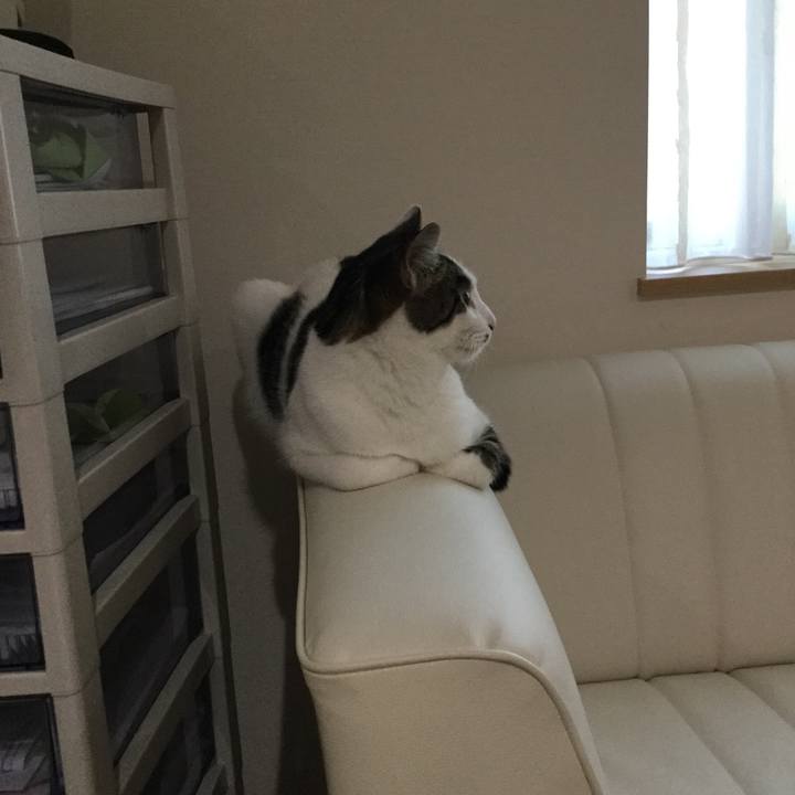 286e721a 4133 4bad 9a30 2daf7b06bccc