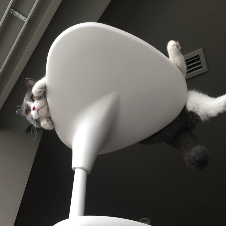 286e7317 5562 442d 8ae1 a27159058f68