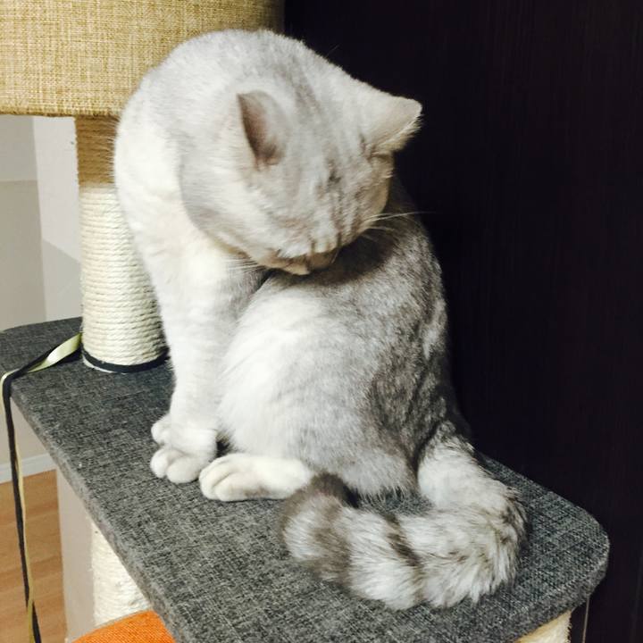 286e8e15 dd49 4866 8cdb 633a4f588ca6