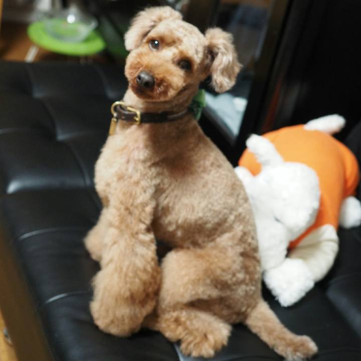 286e9649 36e9 40ad 9882 007214241d10