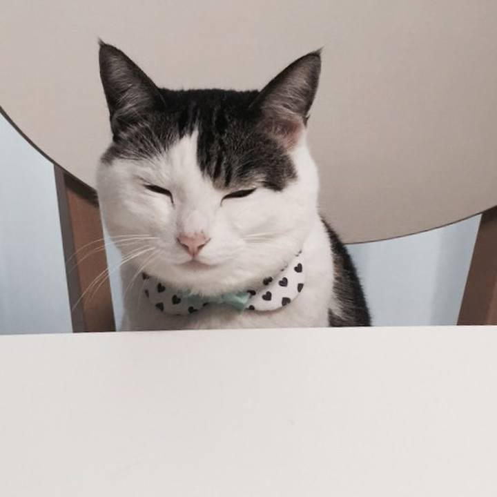 286f21bb a7a4 45c5 8b8e 5b2a5572f89d