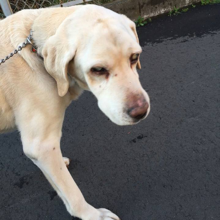 2870a4a1 2d05 4e90 9c31 ff3b6ca9e092