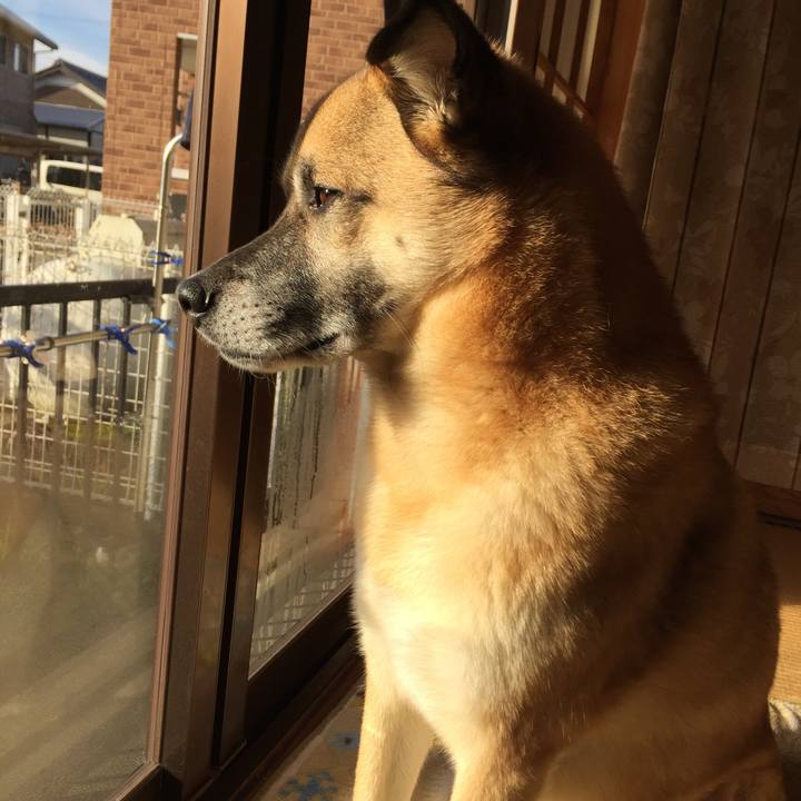 2870e3f8 440c 4e37 979d fc7213eae7b7