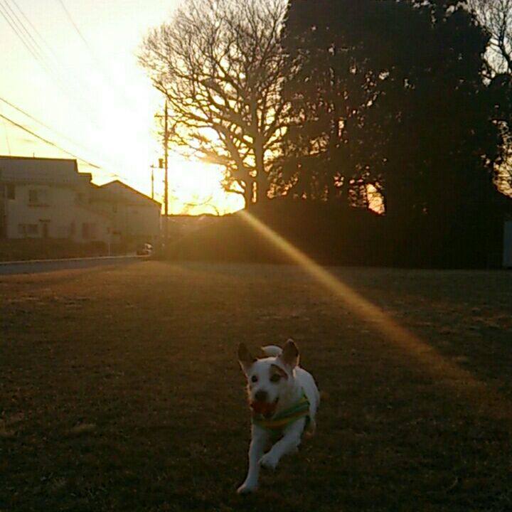 287137f0 be10 48a4 a094 28cefedc9adb