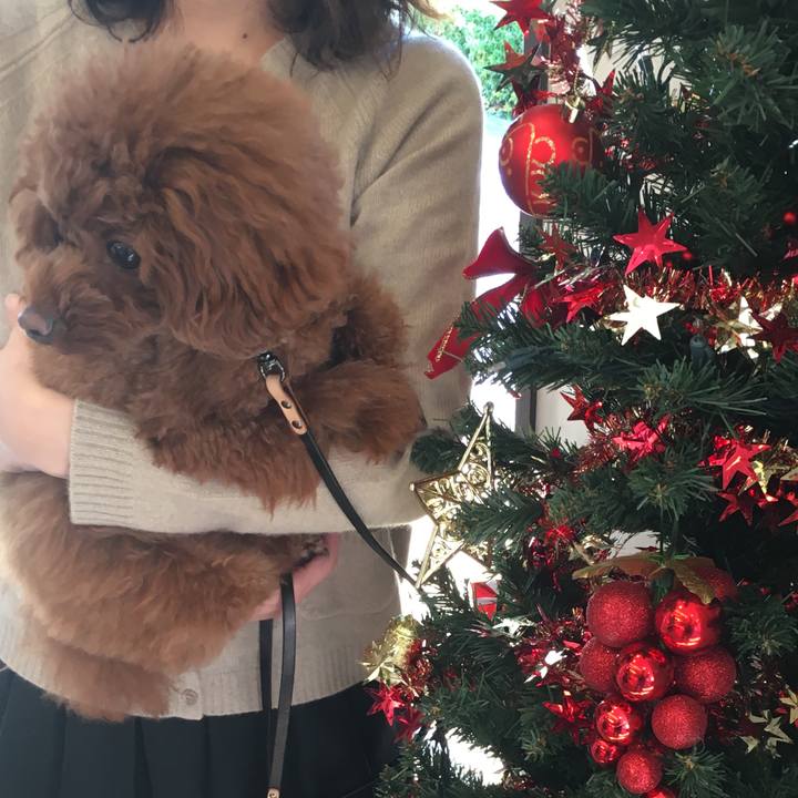 28713c58 25aa 47b8 88fb b20fbdc92559