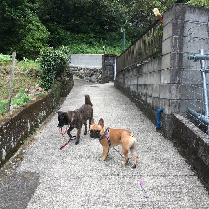 28715d31 84f2 4f0e 8e5f 5bad22037433