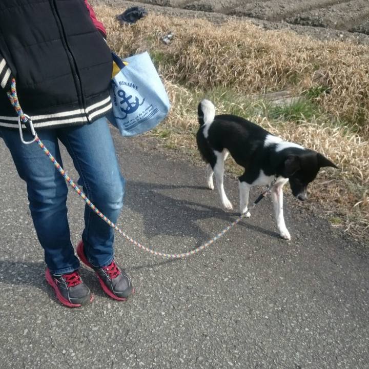 2871687f 6288 4e52 9bfa d55aa6c96f7a