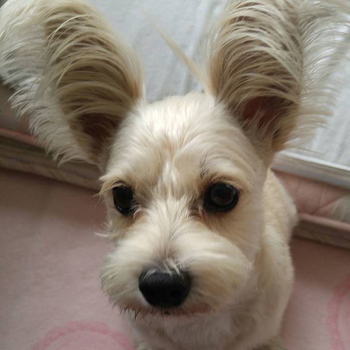 28720d3d 4c45 4d46 a65c 271d2022b3a0