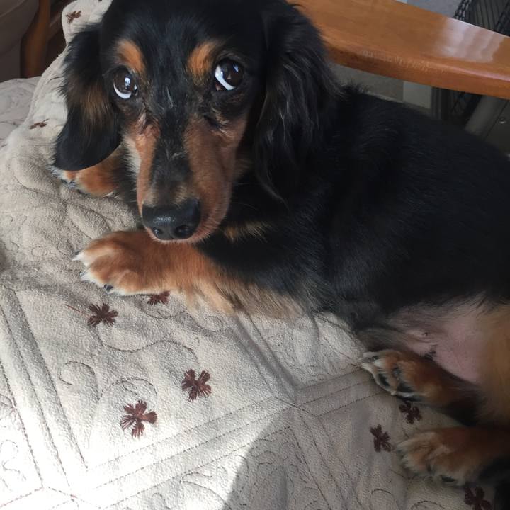 2872227f 4689 4cd4 b736 7fae5782f7d5