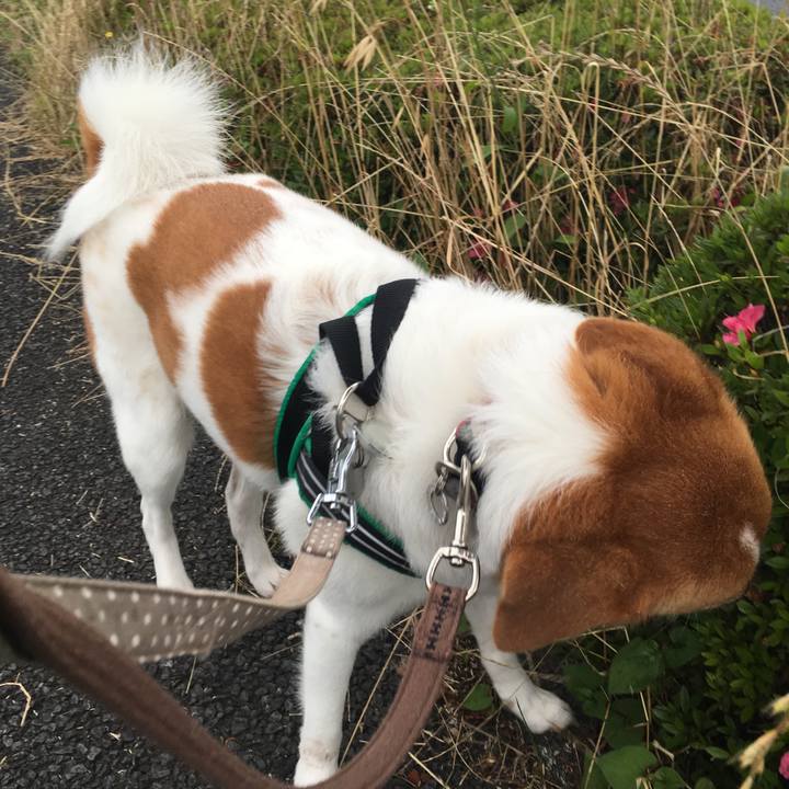 287263e6 c25e 4c35 988a 4148fbbcd851