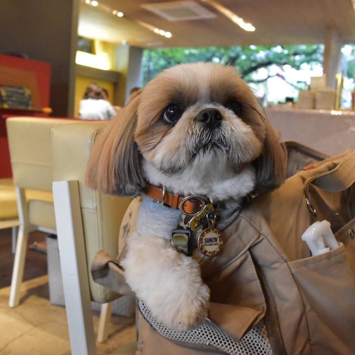 28727d40 3ff5 4c94 8dde a94903aa7b33