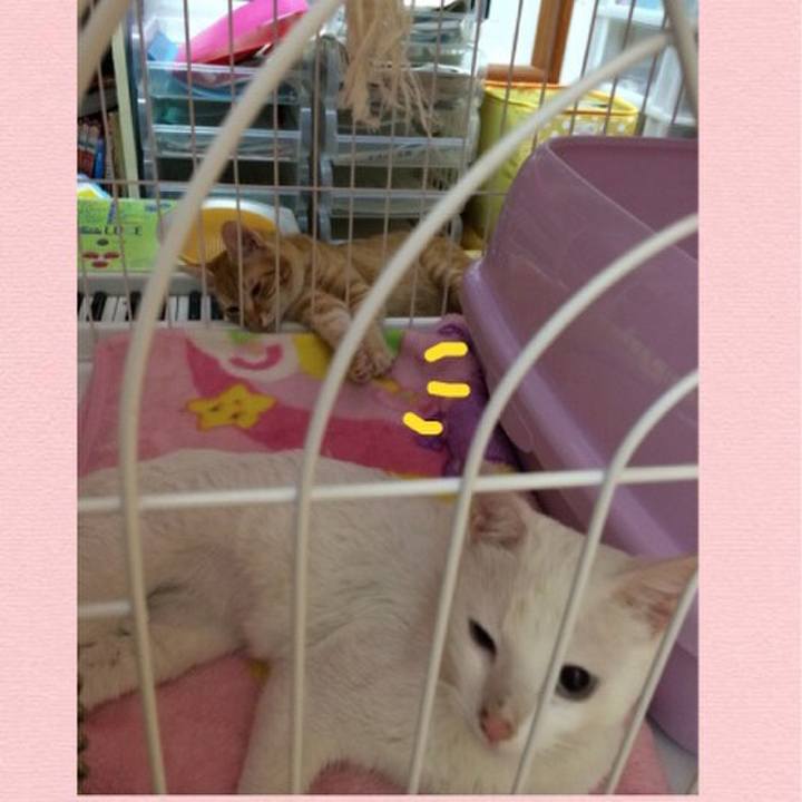 2872c6bf f3b7 4fe3 a058 079e288fc454