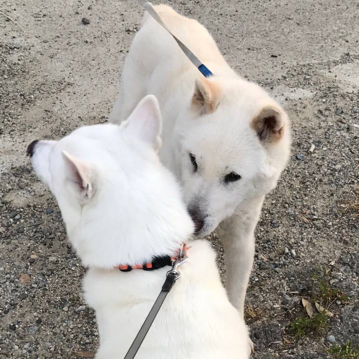 28734130 25e4 4eb3 b924 b67f2a511d8d