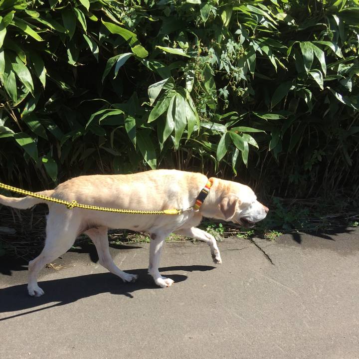 287393a1 e166 4885 b291 4f7c791069ae