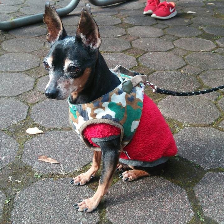 2873d9b8 8b0f 4bbb 8382 1ca11b19ba4b