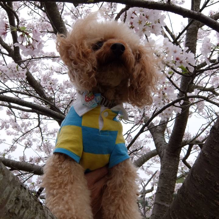 2873e20e 0c21 4e03 87e9 aeaa3a13ce44