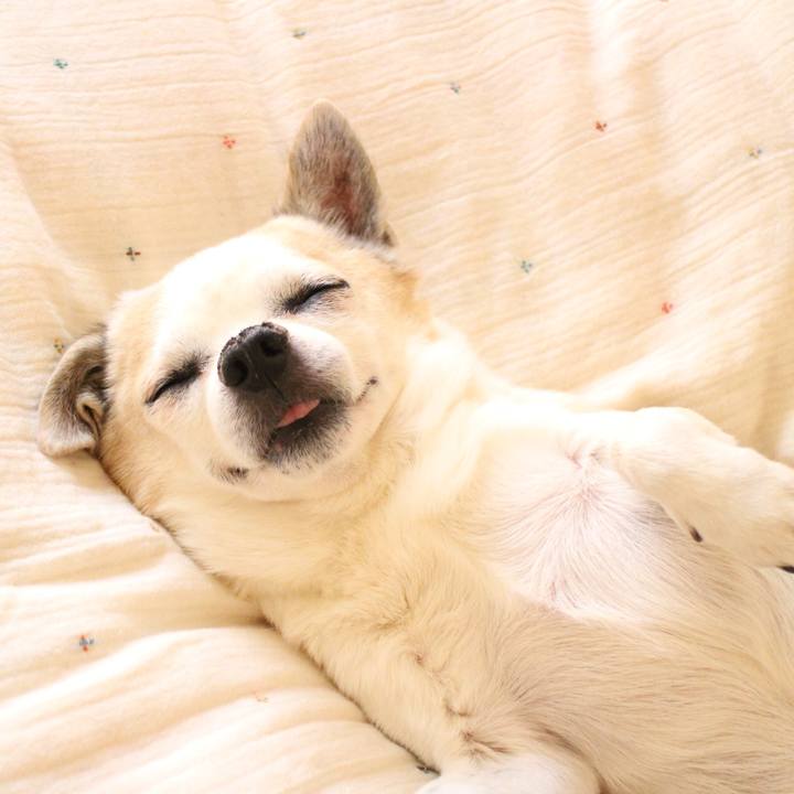 28747a8b 6eee 47e6 9f0c 16cb9c057725