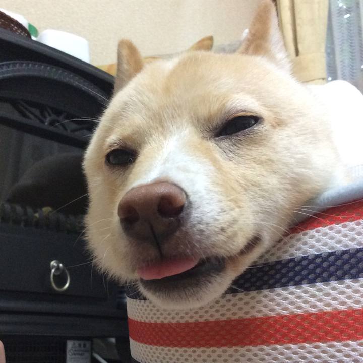 28754561 739c 4ca3 8f5f b0ffdb2b7979