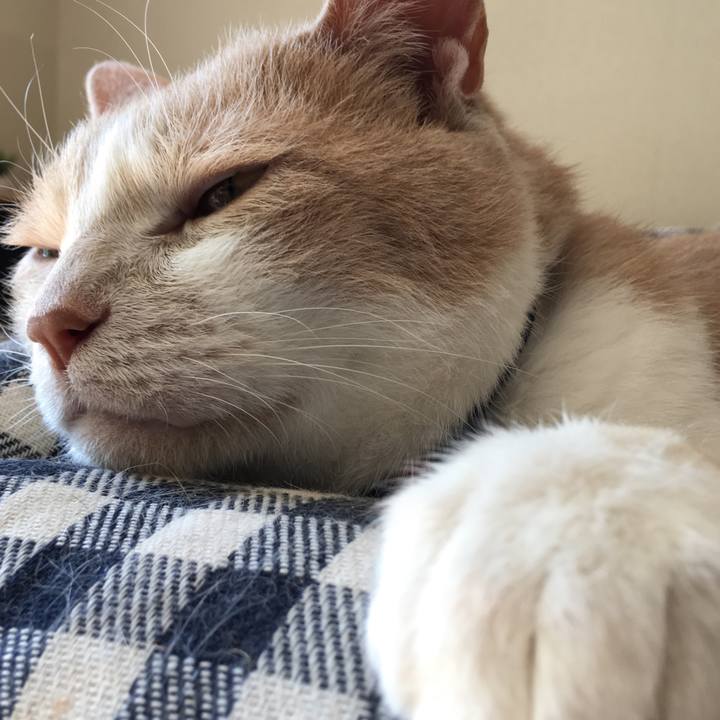 28759b02 fc1d 4e1d 93e6 07a2ae749397