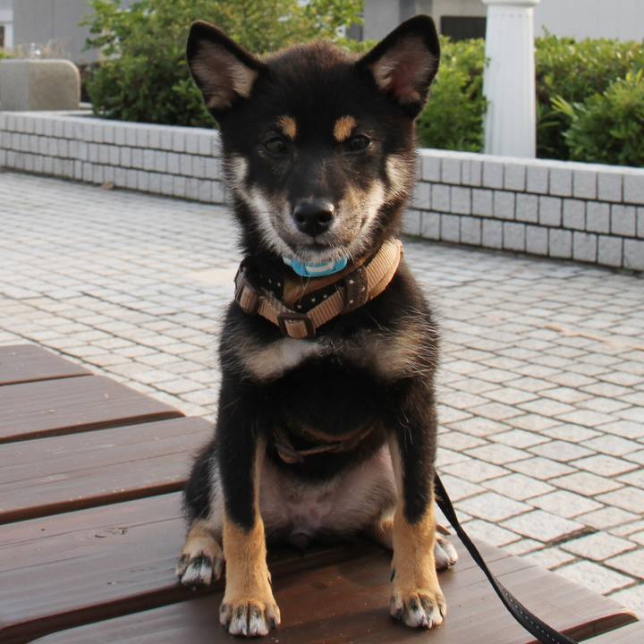 28769a15 2471 4cd6 afd1 98c91ea079bd