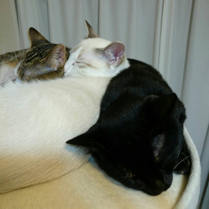 2876a0e9 218c 487e 9a1c 247d8b2b2eb6