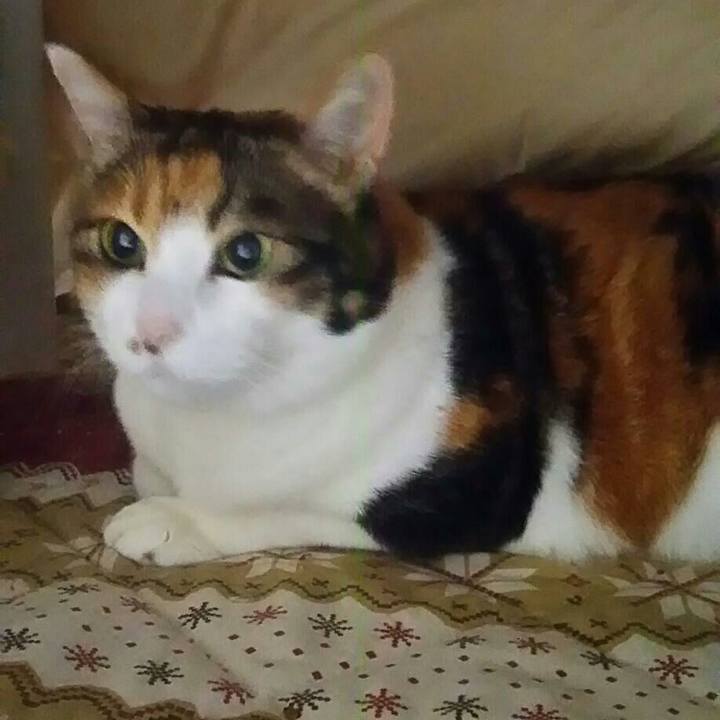 2876bd27 db16 40af 83cc 812690481e0d