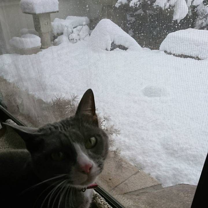 28774887 1214 4477 bb28 a972831898fd