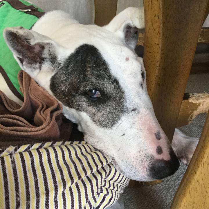 2877983c ce60 4174 967d 7837913d8c75