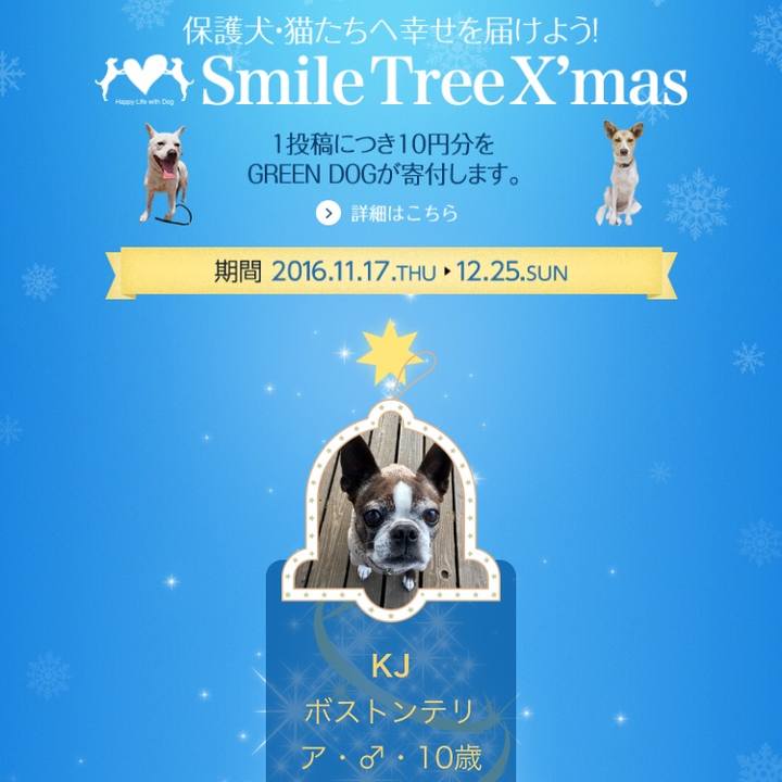 2877bea8 dd68 416a a854 0ea960235386