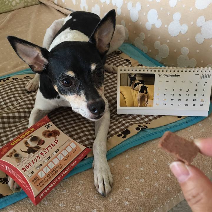 2877f3d4 94d5 45fe a726 7c250926a20f