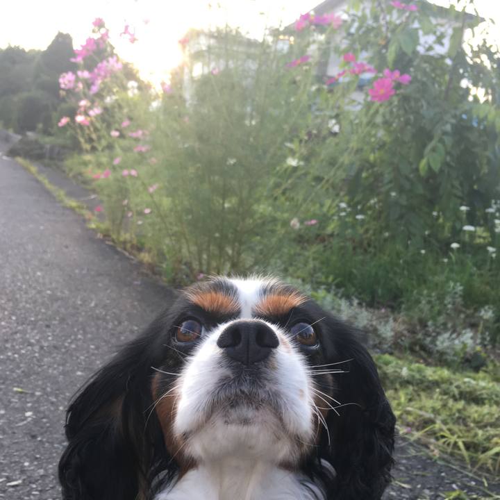 28792355 3b1e 4603 ae83 fc5bcdfdb5ba