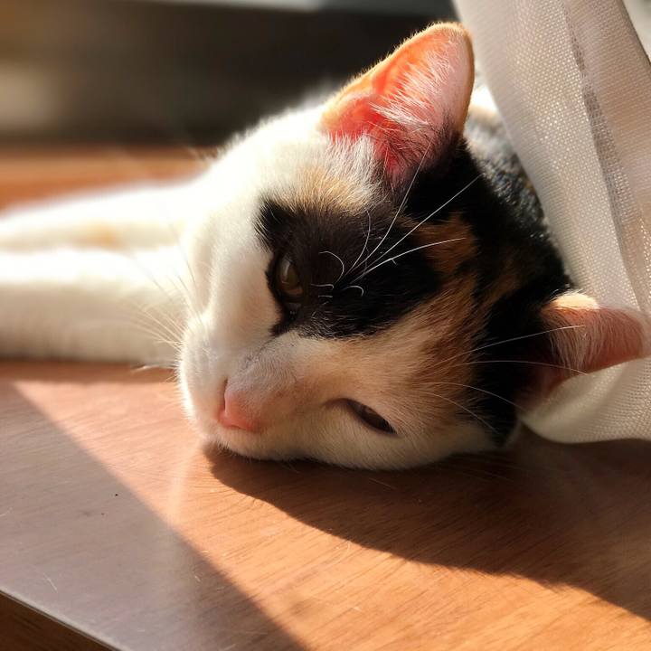 28799c44 0df8 4c1f b742 67f0ab2c5ec8